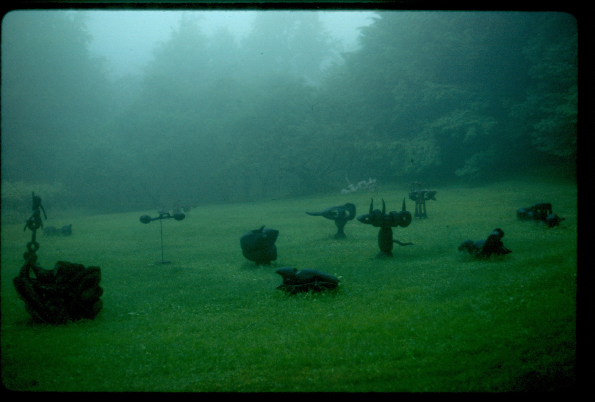Sculpture Field in Fog